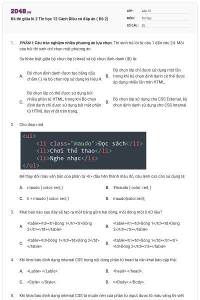 Đề thi giữa kì 2 Tin học 12 Cánh Diều có đáp án ( Đề 2)