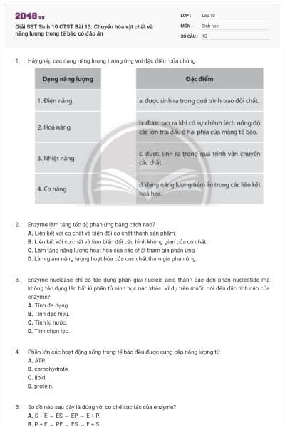 Giải SBT Sinh 10 CTST Bài 13: Chuyển hóa vật chất và năng lượng trong tế bào có đáp án