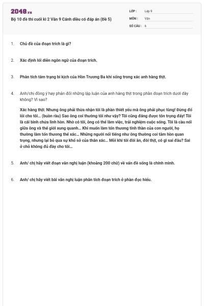 Bộ 10 đề thi cuối kì 2 Văn 9 Cánh diều có đáp án (Đề 5)