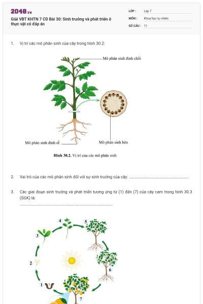 Giải VBT KHTN 7 CD Bài 30: Sinh trưởng và phát triển ở thực vật có đáp án