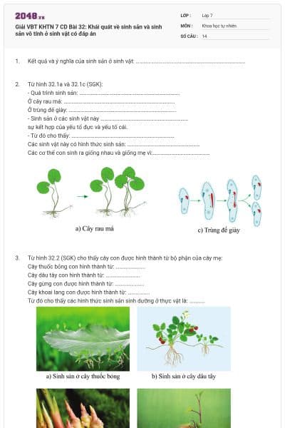 Giải VBT KHTN 7 CD Bài 32: Khái quát về sinh sản và sinh sản vô tính ở sinh vật có đáp án
