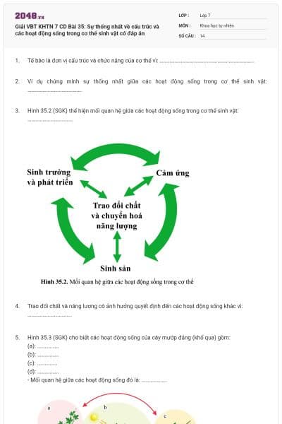 Giải VBT KHTN 7 CD Bài 35: Sự thống nhất về cấu trúc và các hoạt động sống trong cơ thể sinh vật có đáp án