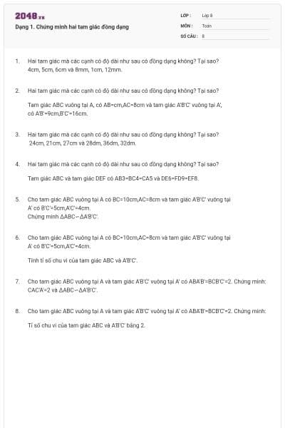 Dạng 1. Chứng minh hai tam giác đồng dạng
