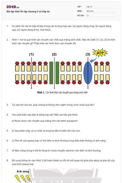 Bài tập Sinh Ôn tập chương 3 có đáp án