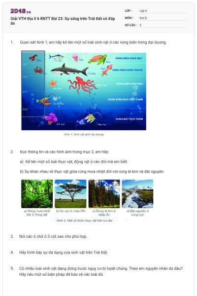 Giải VTH Địa lí 6 KNTT Bài 23: Sự sống trên Trái Đất có đáp án