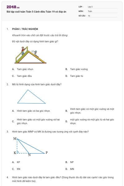 Bài tập cuối tuần Toán 5 Cánh diều Tuần 19 có đáp án