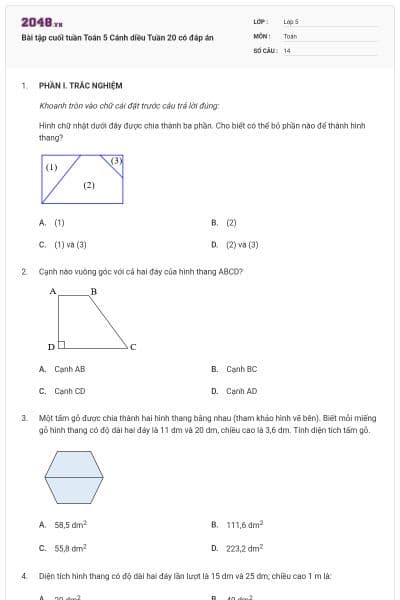 Bài tập cuối tuần Toán 5 Cánh diều Tuần 20 có đáp án