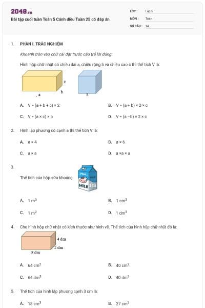 Bài tập cuối tuần Toán 5 Cánh diều Tuần 25 có đáp án