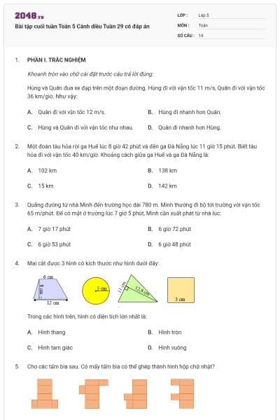 Bài tập cuối tuần Toán 5 Cánh diều Tuần 29 có đáp án