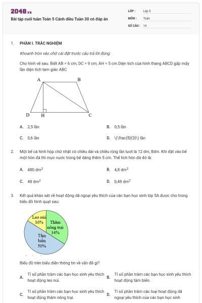 Bài tập cuối tuần Toán 5 Cánh diều Tuần 30 có đáp án
