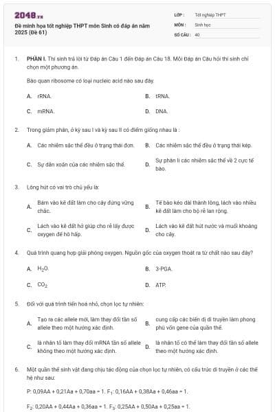 Đề minh họa tốt nghiệp THPT môn Sinh có đáp án năm 2025 (Đề 61)
