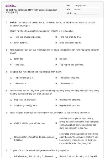 Đề minh họa tốt nghiệp THPT môn Sinh có đáp án năm 2025 (Đề 65)