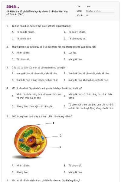Đề kiểm tra 15 phút Khoa học tự nhiên 6 - Phần Sinh Học có đáp án (Đề 1)