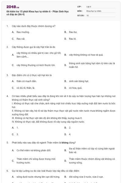 Đề kiểm tra 15 phút Khoa học tự nhiên 6 - Phần Sinh Học có đáp án (Đề 4)