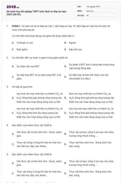 Đề minh họa tốt nghiệp THPT môn Sinh có đáp án năm 2025 (Đề 82)