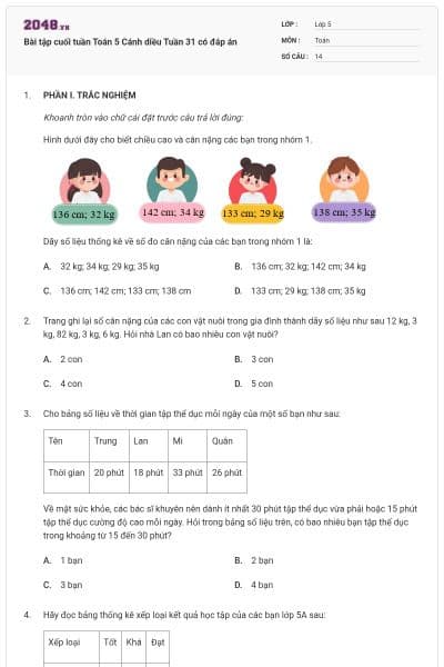 Bài tập cuối tuần Toán 5 Cánh diều Tuần 31 có đáp án