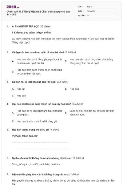 Đề thi cuối kì 2 Tiếng Việt lớp 2 Chân trời sáng tạo có đáp án - Đề 5
