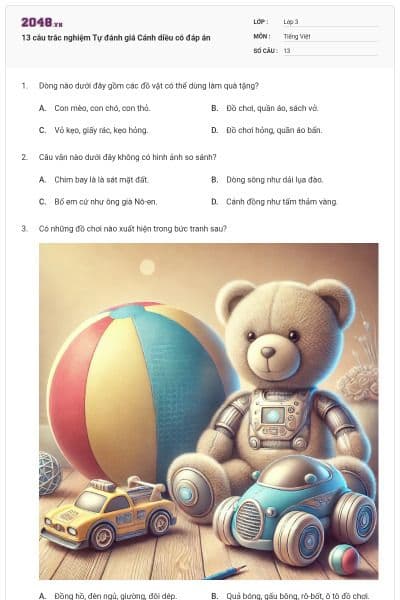 13 câu trắc nghiệm Tự đánh giá Cánh diều có đáp án