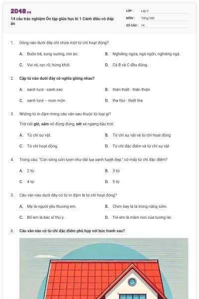 14 câu trắc nghiệm Ôn tập giữa học kì 1 Cánh diều có đáp án