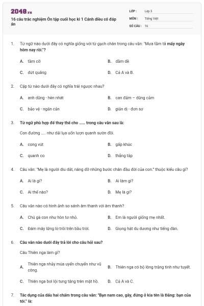 16 câu trắc nghiệm Ôn tập cuối học kì 1 Cánh diều có đáp án