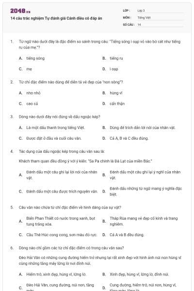 14 câu trắc nghiệm Tự đánh giá Cánh diều có đáp án