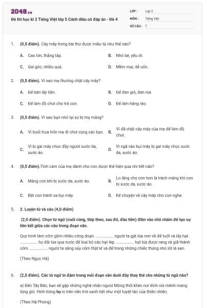 Đề thi học kì 2 Tiếng Việt lớp 5 Cánh diều có đáp án - Đề 4