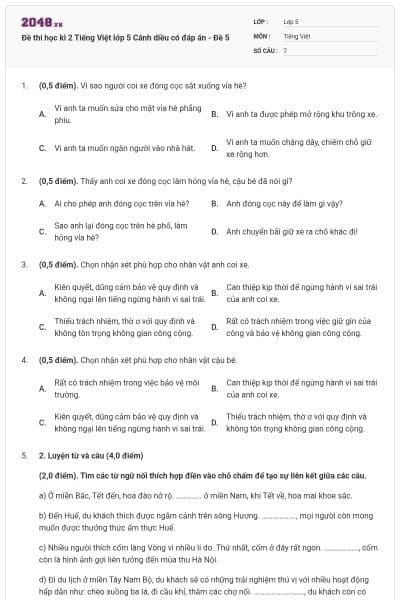 Đề thi học kì 2 Tiếng Việt lớp 5 Cánh diều có đáp án - Đề 5