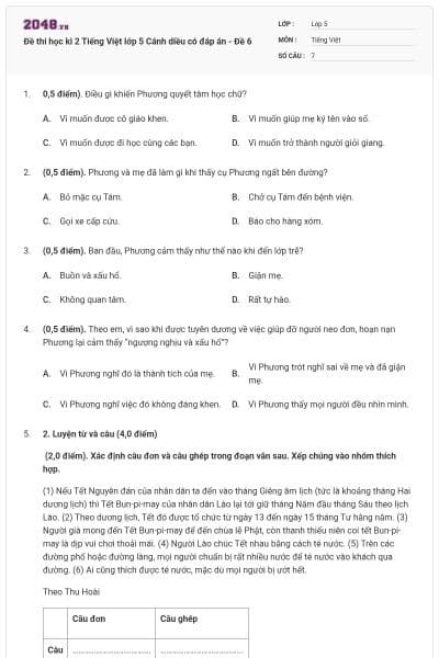 Đề thi học kì 2 Tiếng Việt lớp 5 Cánh diều có đáp án - Đề 6