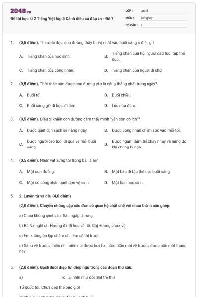 Đề thi học kì 2 Tiếng Việt lớp 5 Cánh diều có đáp án - Đề 7
