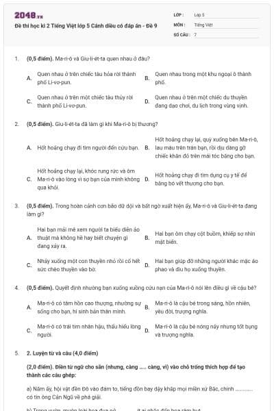 Đề thi học kì 2 Tiếng Việt lớp 5 Cánh diều có đáp án - Đề 9