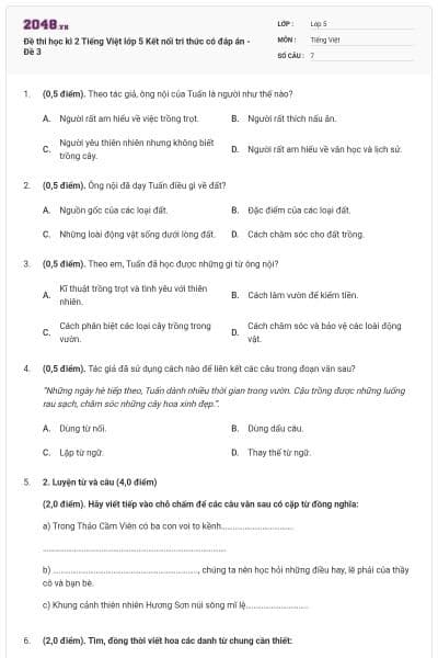 Đề thi học kì 2 Tiếng Việt lớp 5 Kết nối tri thức có đáp án - Đề 3
