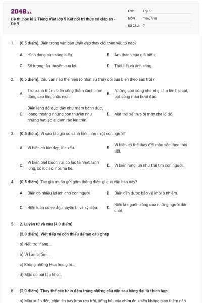 Đề thi học kì 2 Tiếng Việt lớp 5 Kết nối tri thức có đáp án - Đề 9
