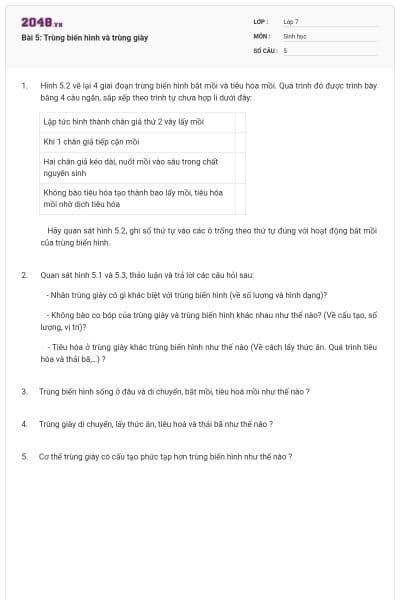 Bài 5: Trùng biến hình và trùng giày