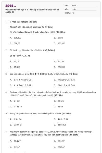 Đề kiểm tra cuối học kì 1 Toán lớp 5 Kết nối tri thức có đáp án (Đề 9)