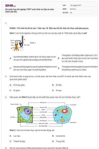 Đề minh hoạ tốt nghiệp THPT môn Sinh có đáp án năm 2025 (Đề 85)