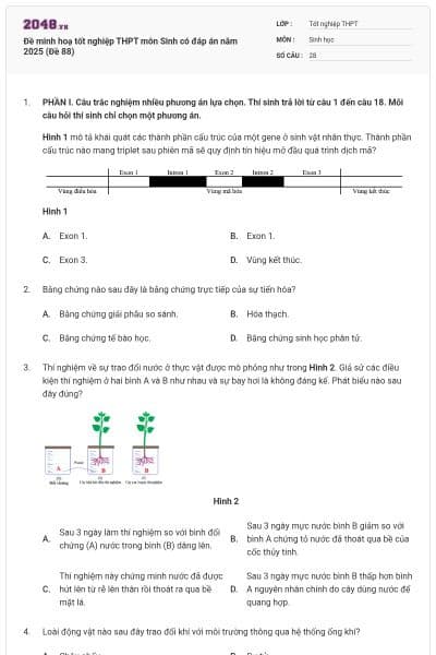Đề minh hoạ tốt nghiệp THPT môn Sinh có đáp án năm 2025 (Đề 88)