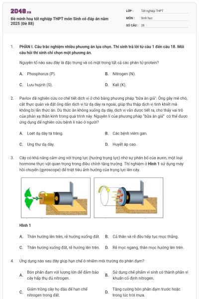 Đề minh hoạ tốt nghiệp THPT môn Sinh có đáp án năm 2025 (Đề 88)
