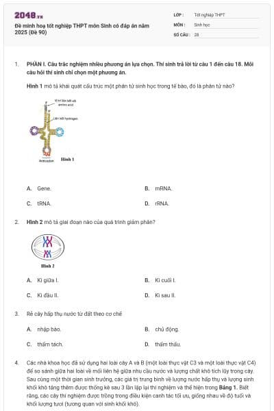 Đề minh hoạ tốt nghiệp THPT môn Sinh có đáp án năm 2025 (Đề 90)