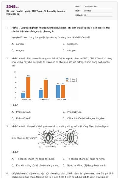 Đề minh hoạ tốt nghiệp THPT môn Sinh có đáp án năm 2025 (Đề 92)