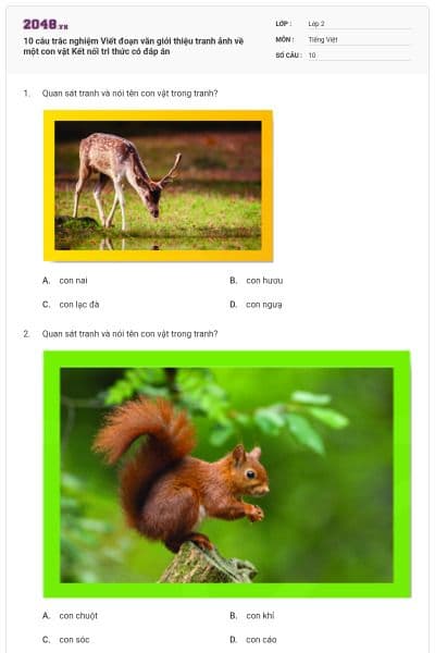 10 câu trắc nghiệm Viết đoạn văn giới thiệu tranh ảnh về một con vật Kết nối tri thức có đáp án