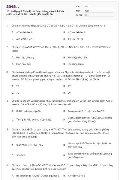 16 câu Dạng 3: Tính độ dài đoạn thẳng, diện tích hình chiếu, chu vi và diện tích đa giác có đáp án