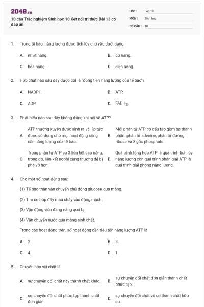 10 câu Trắc nghiệm Sinh học 10 Kết nối tri thức Bài 13 có đáp án