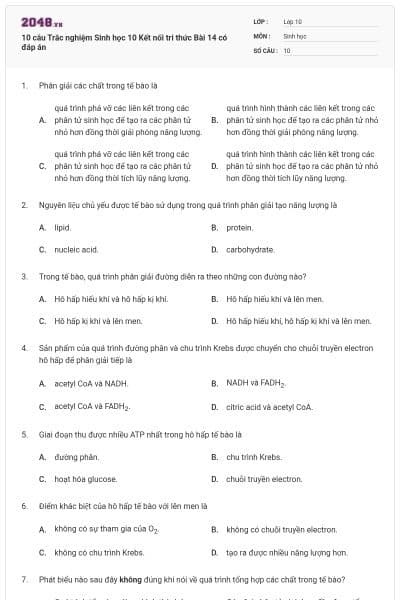 10 câu Trắc nghiệm Sinh học 10 Kết nối tri thức Bài 14 có đáp án