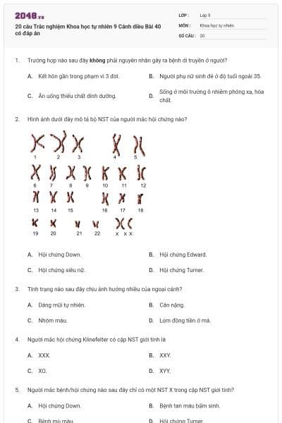 20 câu Trắc nghiệm Khoa học tự nhiên 9 Cánh diều Bài 40 có đáp án