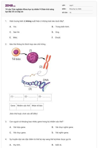10 câu Trắc nghiệm Khoa học tự nhiên 9 Chân trời sáng tạo Bài 35 có đáp án