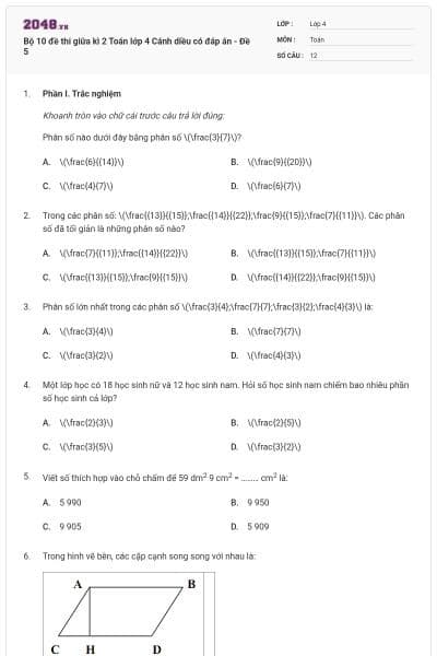 Bộ 10 đề thi giữa kì 2 Toán lớp 4 Cánh diều có đáp án - Đề 5