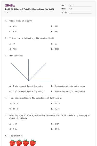 Bộ 20 Đề thi học kì 1 Toán lớp 3 Cánh diều có đáp án (Đề 22)