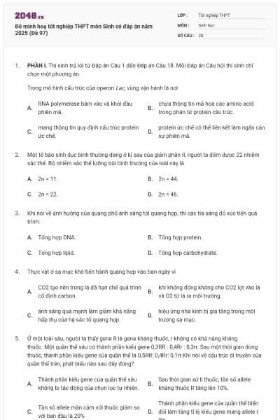 Đề minh hoạ tốt nghiệp THPT môn Sinh có đáp án năm 2025 (Đề 97)