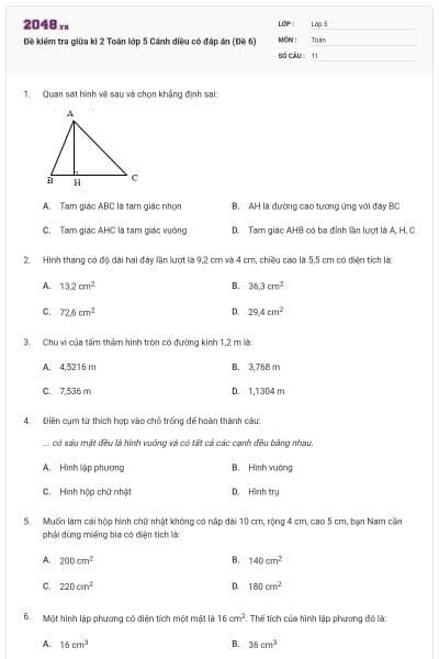 Đề kiểm tra giữa kì 2 Toán lớp 5 Cánh diều có đáp án (Đề 6)
