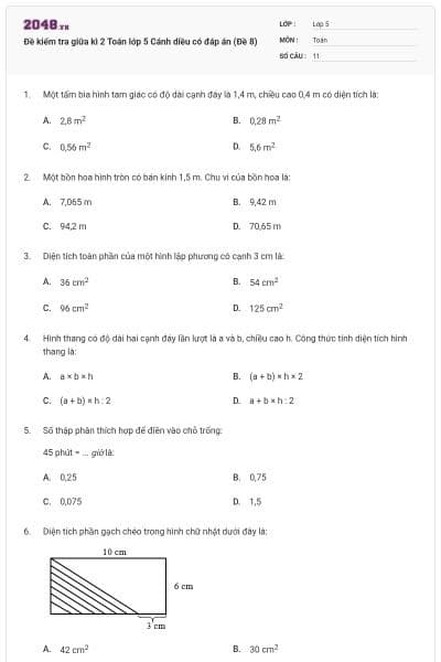 Đề kiểm tra giữa kì 2 Toán lớp 5 Cánh diều có đáp án (Đề 8)